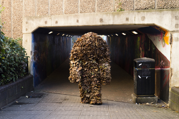 The Ghillie Dhu in Kilmarnock