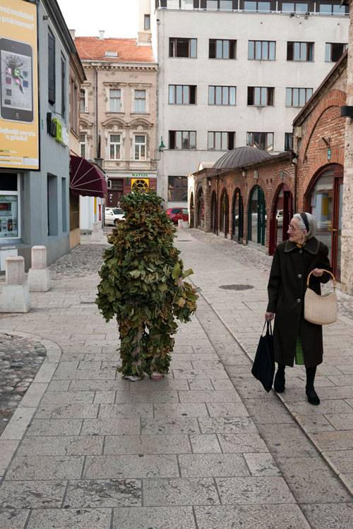 The Leshy in Sarajevo